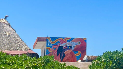 Hotel Río Lagartos presenta el primer mural de su programa "Río a Colores"